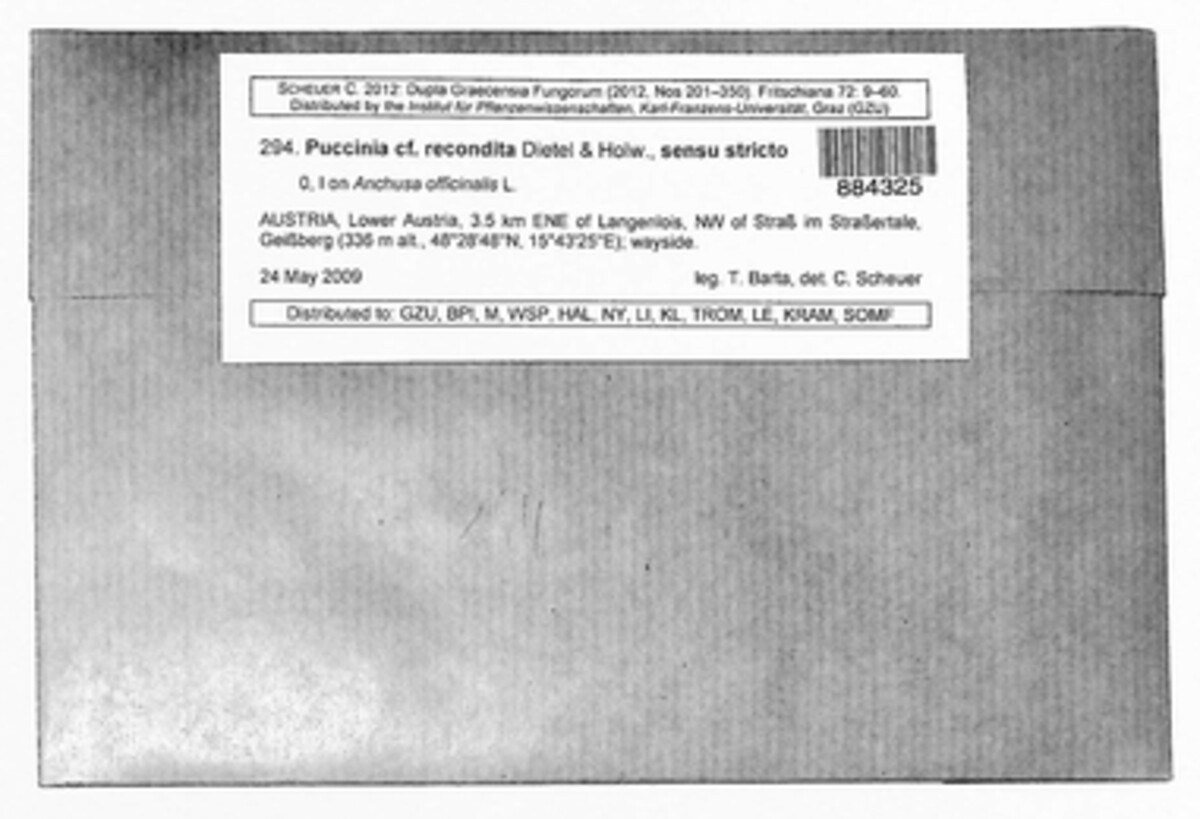 Puccinia recondita image